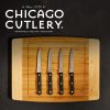 Corelle Dinnerware- Lightweight Essentials® 4-piece Steak Knife Set