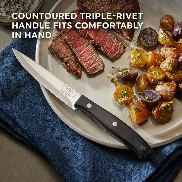 Corelle Dinnerware- Lightweight Ellsworth 4-piece Steak Knife Set